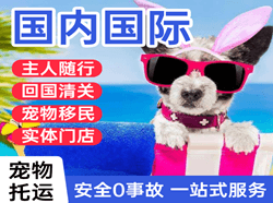 阜阳航空物流国际宠物托运 【国